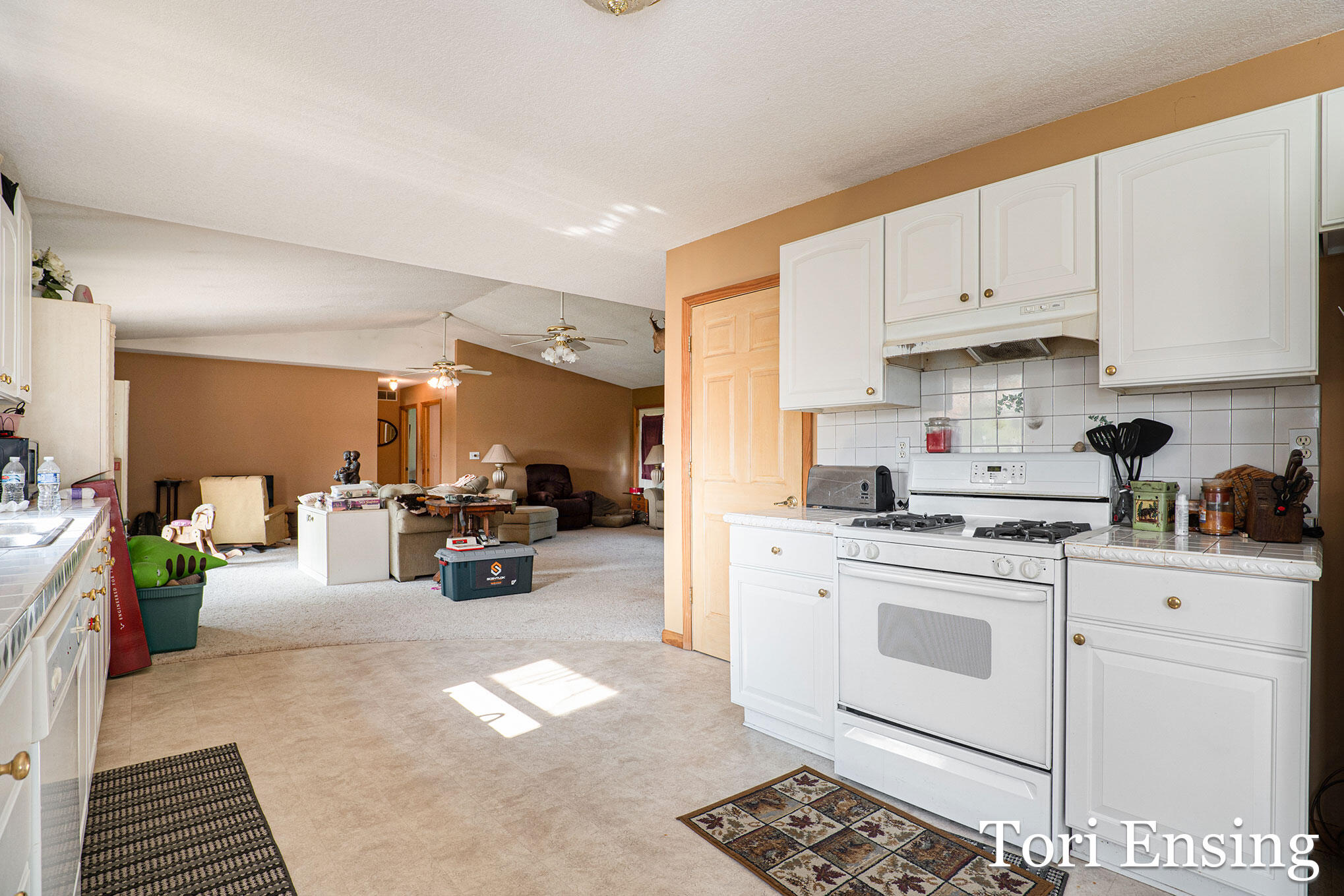 10423 East Klees Road Crystal, MI 48818 - Photo 8 of 29 klees-11