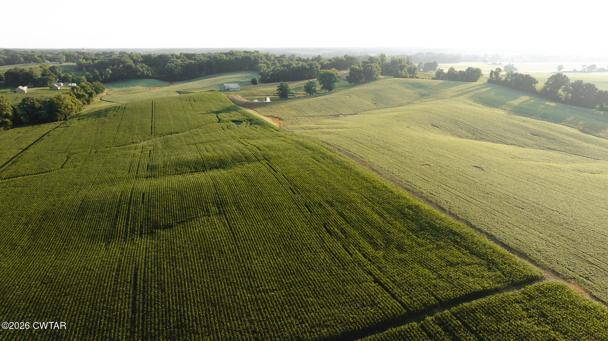 0 Jack Tate Road Obion, TN 38240 - Photo 17 of 23 DJI_20260531140331_0078_D