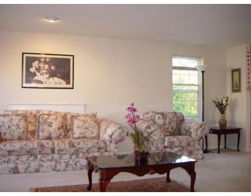 57 Bucklin Road North Andover, MA 01845 - Photo 4 of 12 a living room with furniture and a potted plant