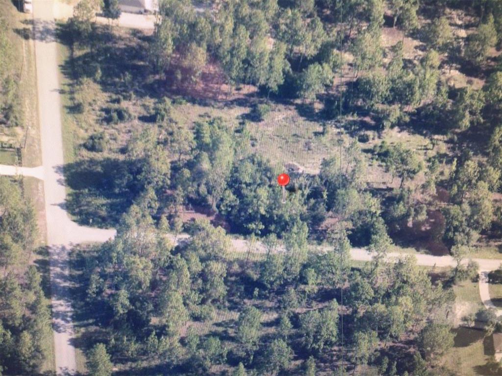 a view of a house in a forest