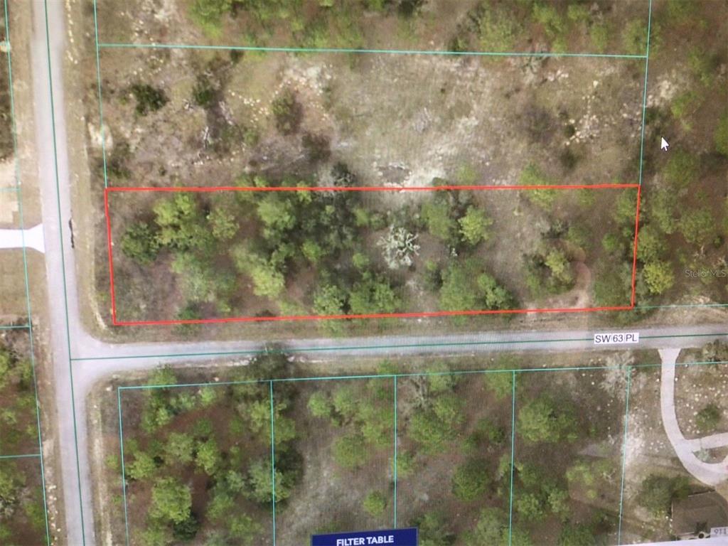 0 Southwest 209th Avenue Dunnellon, FL 34431 - Photo 5 of 5 a view of swimming pool from a window