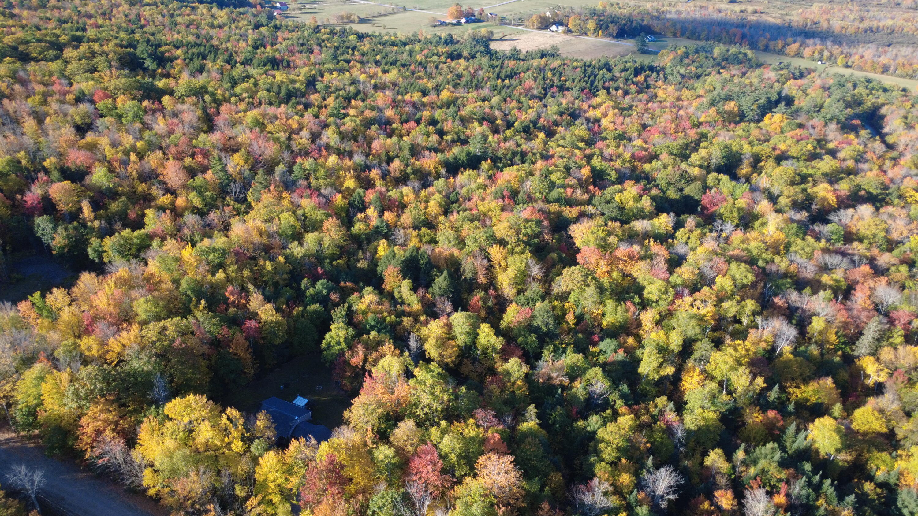189 Chestnut Knoll Road Bethel, ME 04217 - Photo 54 of 66 DJI_0846