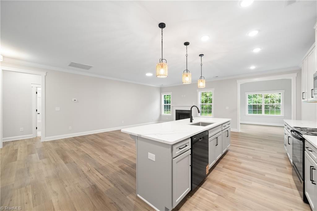 160 Red Maple Way King, NC 27021 - Photo 9 of 39