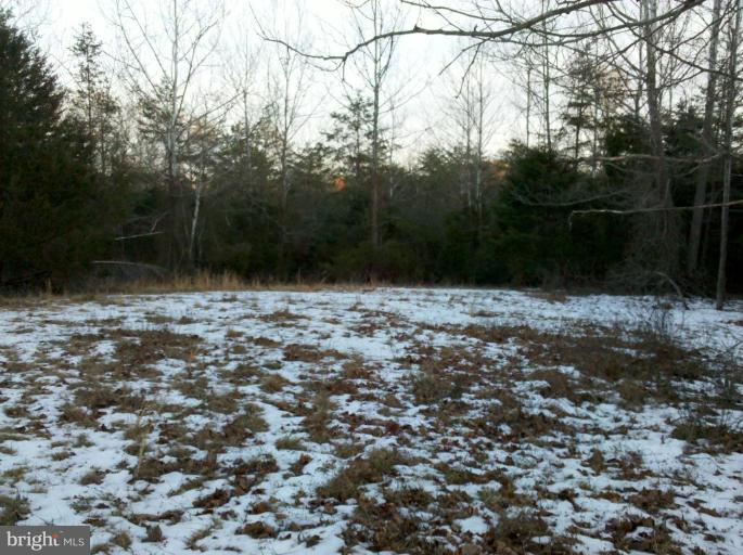 636 Glebe Way Culpeper, VA 22701 - Photo 2 of 4 Wooded View / Acreage 2