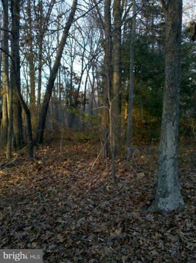636 Glebe Way Culpeper, VA 22701 - Photo 3 of 4 Wooded View / Acreage