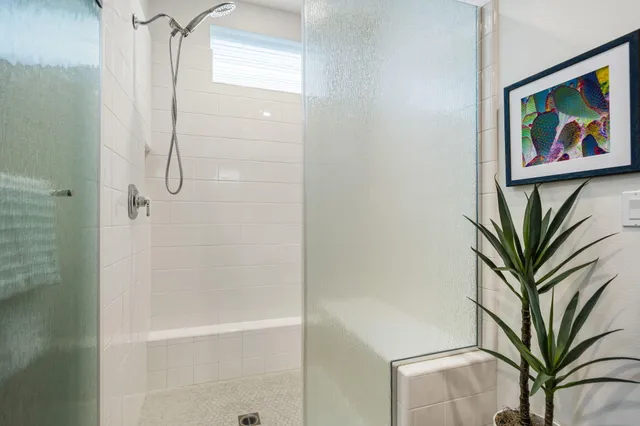 a bathroom with a potted plant on the shower and a window