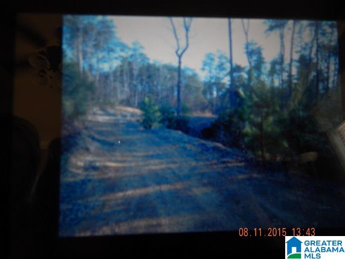 205 Gwin Loop Road Adger, AL 35006 - Photo 19 of 22 Gallery Image 19
