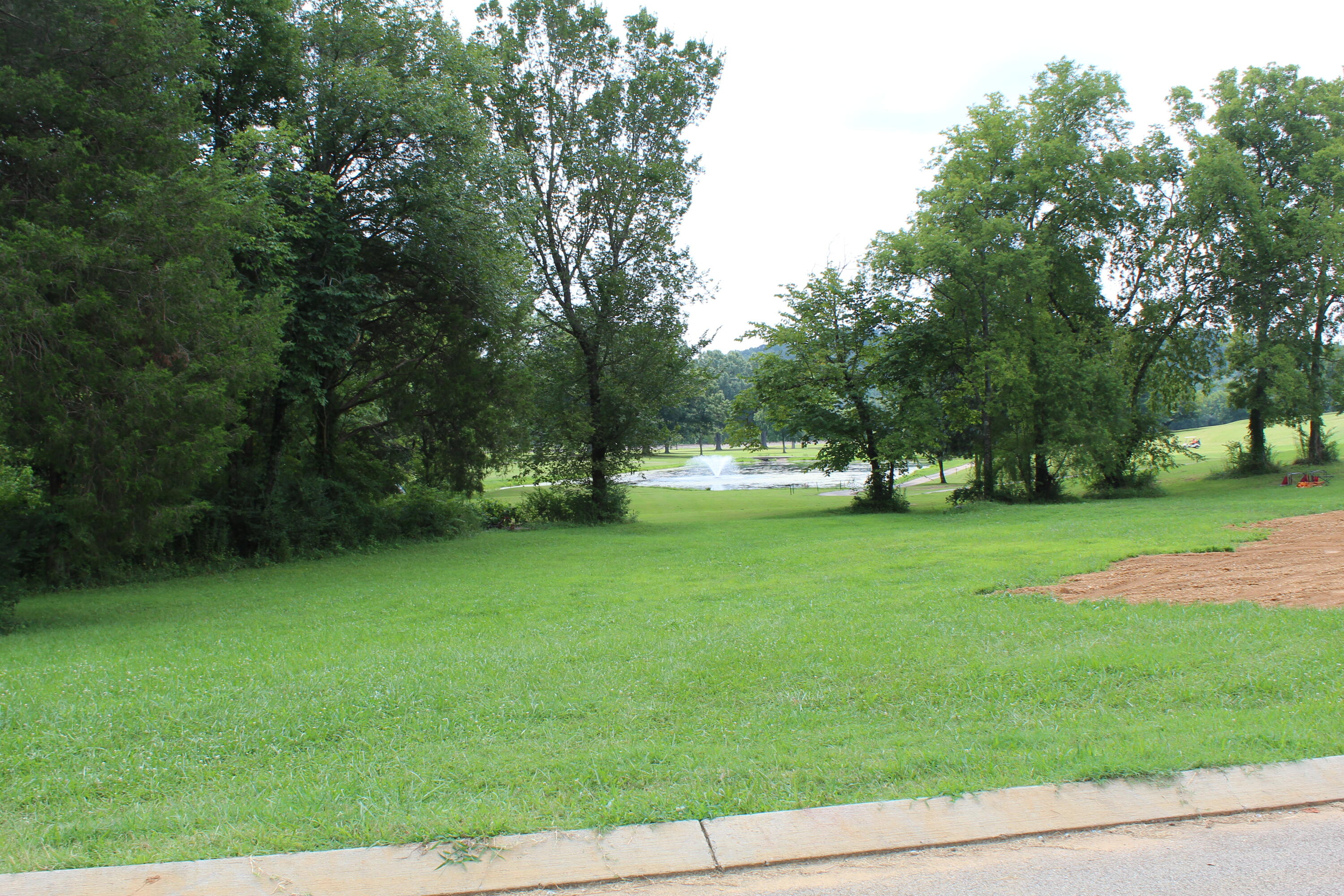 310 Norman Creek Road Evensville, TN 37332 - Photo 16 of 17 IMG_6915