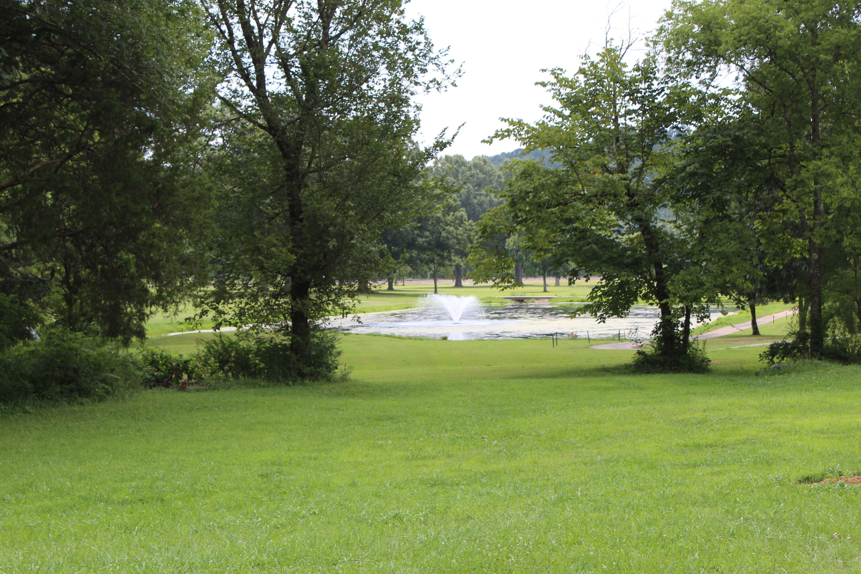 310 Norman Creek Road Evensville, TN 37332 - Photo 17 of 17 IMG_6916