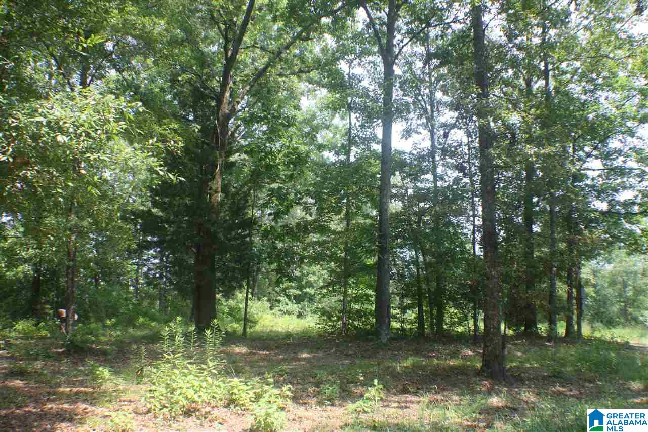 700 Willingham Road Talladega, AL 35160 - Photo 29 of 32 Gallery Image 29