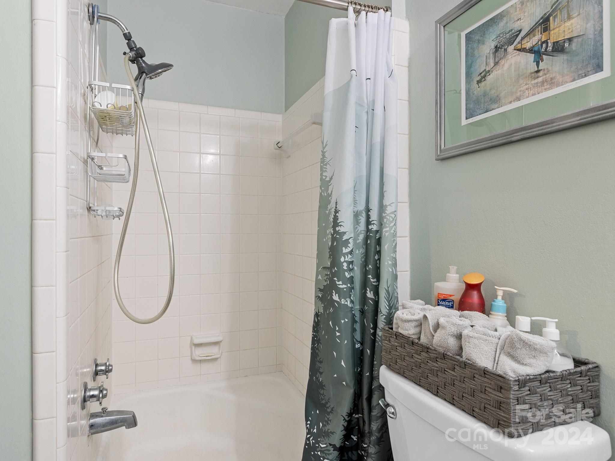 159 Jervey Road Tryon, NC 28782 - Photo 19 of 43 a bathroom with a granite countertop shower and a sink