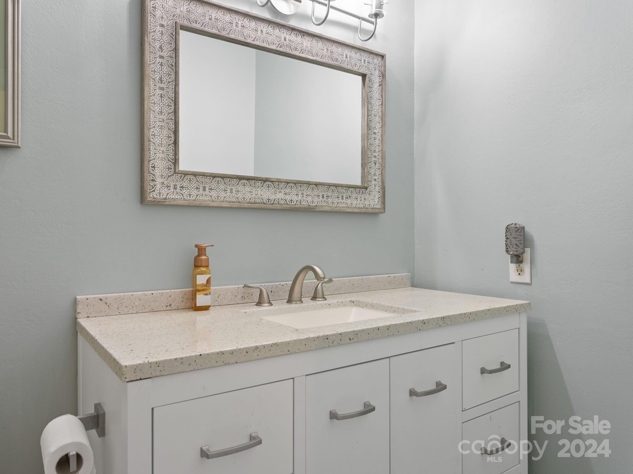 159 Jervey Road Tryon, NC 28782 - Photo 20 of 43 a bathroom with a sink and a mirror