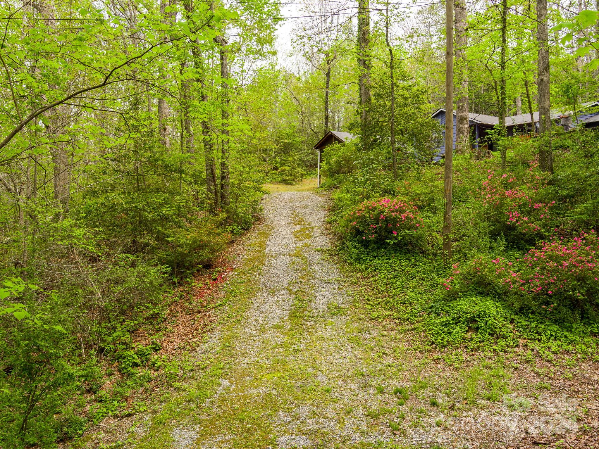 159 Jervey Road Tryon, NC 28782 - Photo 41 of 43 a view of lake view