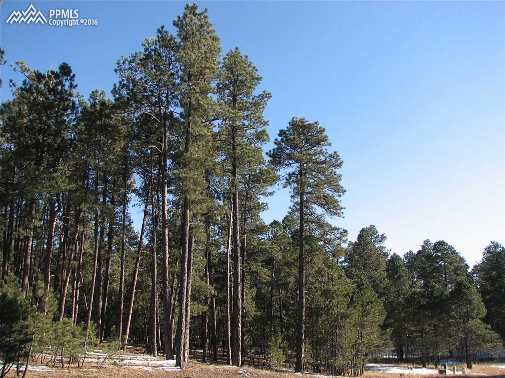 19775 Wing Tip Road Colorado Springs, CO 80908 - Photo 1 of 17