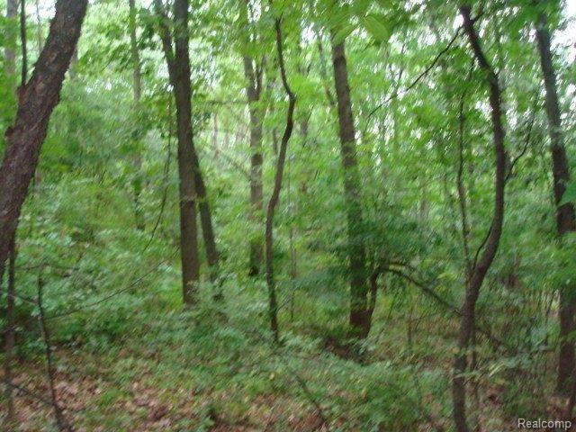0 Maple Hill Road Rochester, MI 48306 - Photo 6 of 8 DSC08512.JPG