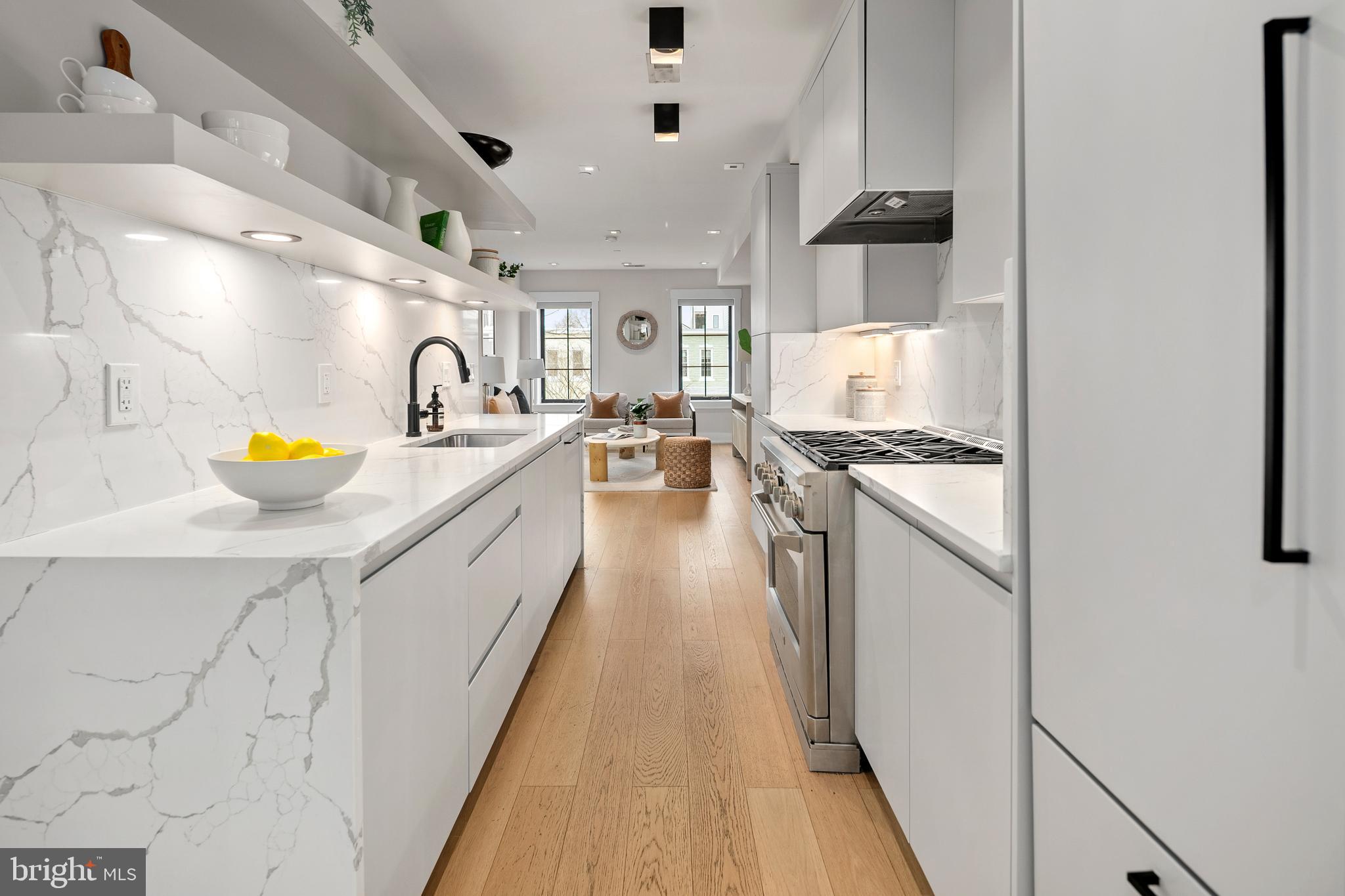 330 16th Street Southeast, Unit 2 Washington, DC 20003 - Photo 14 of 45 Sleek Finishes