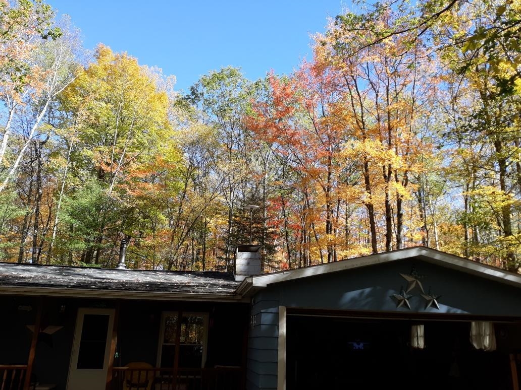 5657 Walker Road Rose City, MI 48654 - Photo 2 of 19 1925605-e3efb7b9-449d-476c-bd5b-93a01cd16c3e.JPG