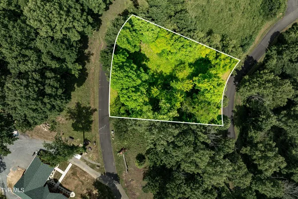 $79,000 | Lot 17 Lake Ridge Road, Unit 17, Butler, TN 37640
