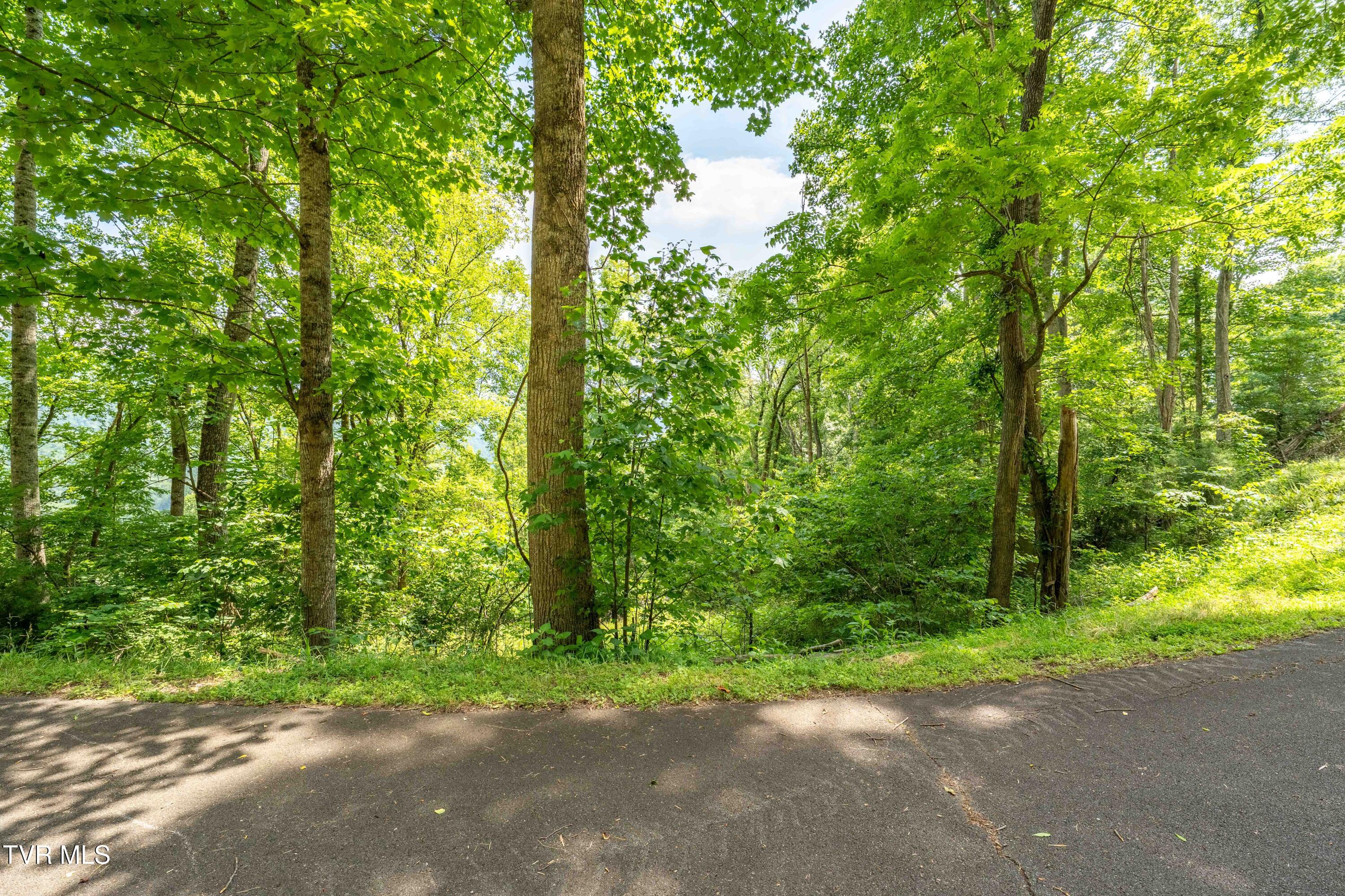 Lot 17 Lake Ridge Road, Unit 17 Butler, TN 37640 - Photo 25 of 28 Lot 17 (25 of 27)