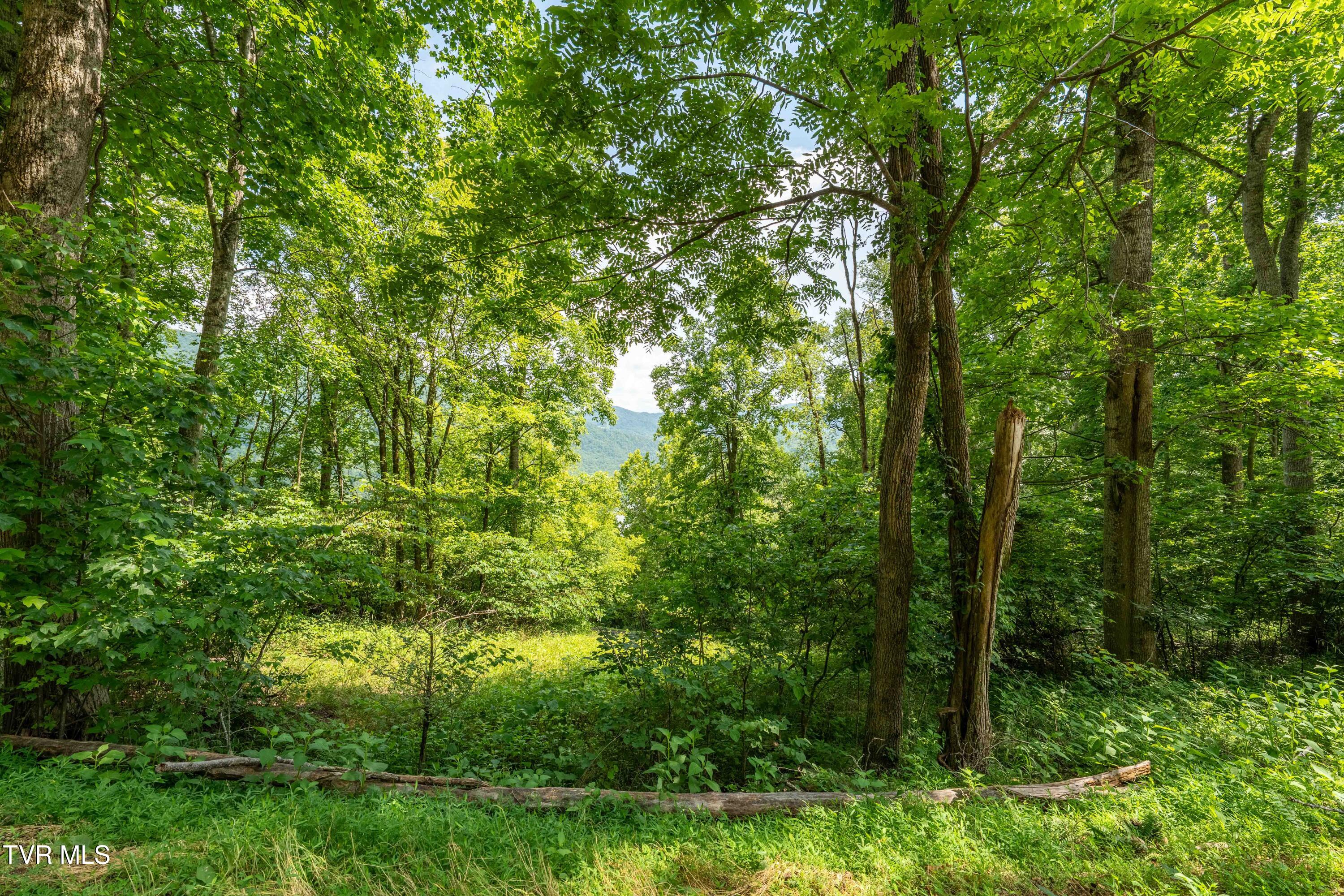 Lot 17 Lake Ridge Road, Unit 17 Butler, TN 37640 - Photo 26 of 28 Lot 17 (26 of 27)