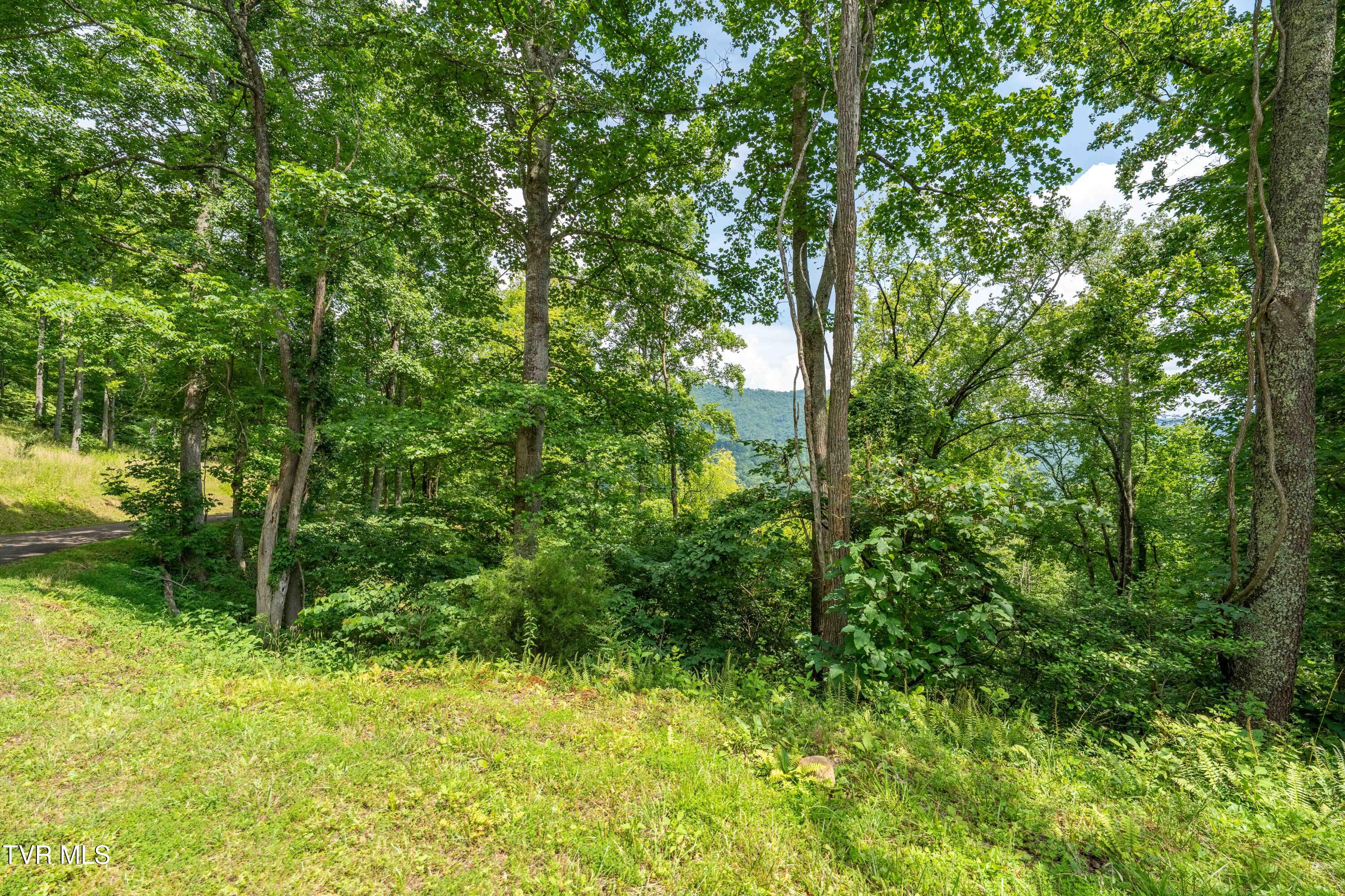 Lot 17 Lake Ridge Road, Unit 17 Butler, TN 37640 - Photo 27 of 28 Lot 17 (27 of 27)