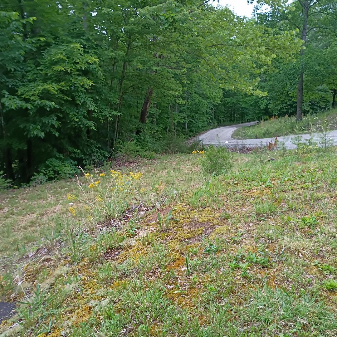 273 South Burke Road Monticello, KY 42633 - Photo 36 of 42 thumbnail 43