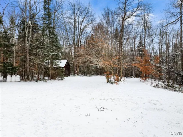 $435,000 | 998 Highway 365, Ohio, NY 13438