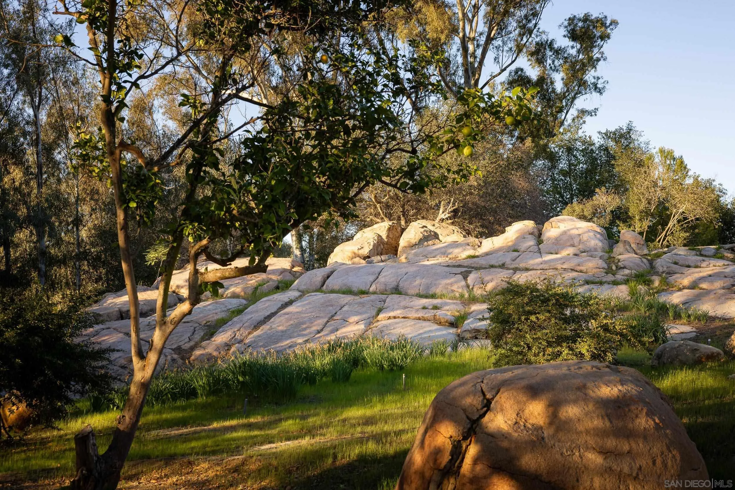 16512 Wilderness Road Poway, CA 92064 - Photo 26 of 29