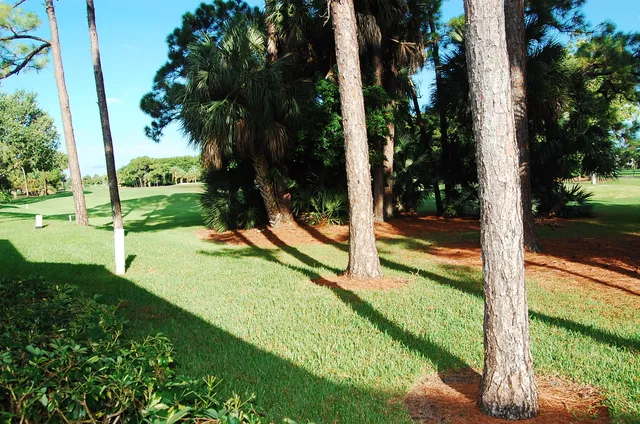 a view of a backyard with a garden and trees