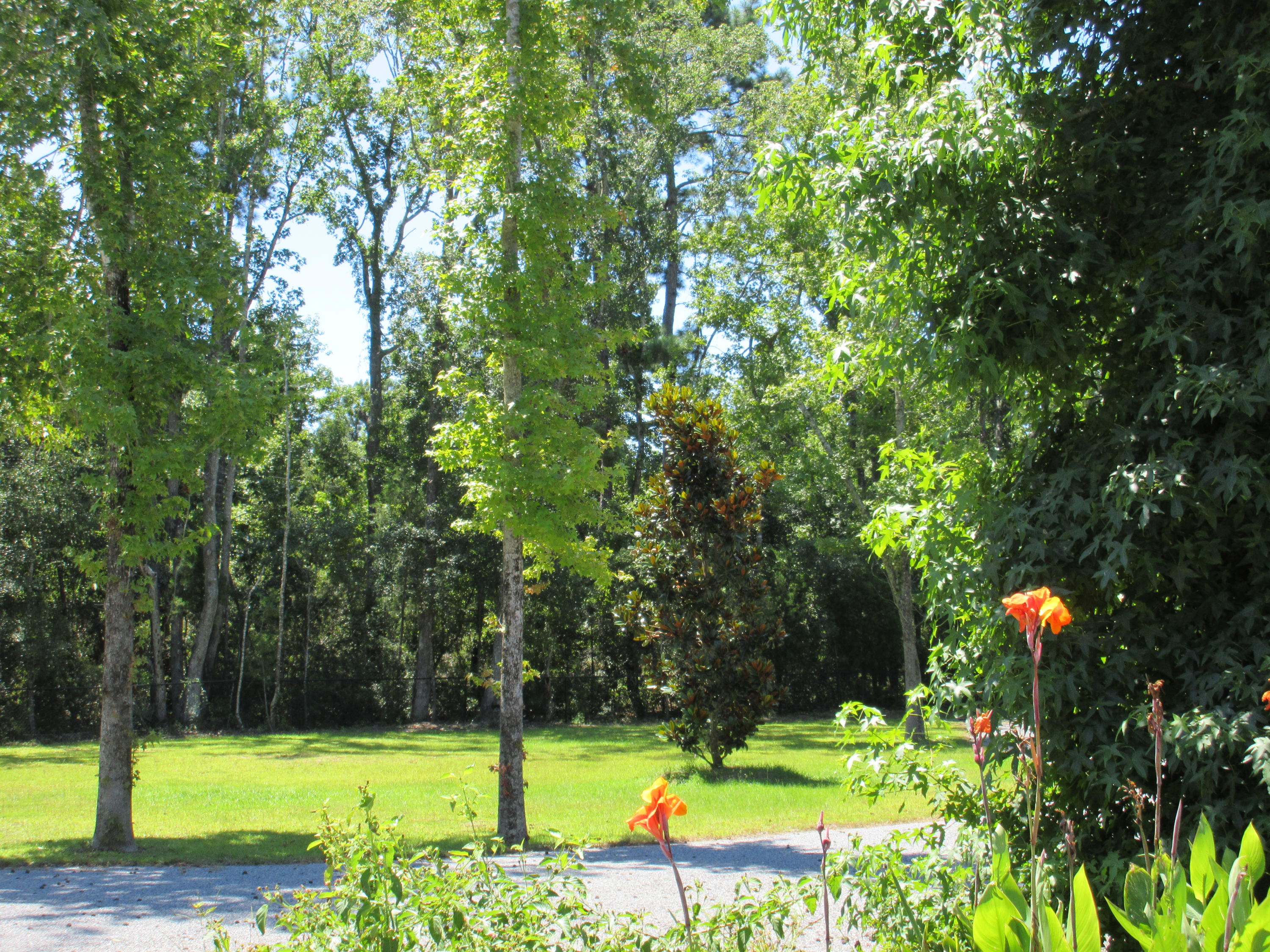 906 Kit Hall Road McClellanville, SC 29458 - Photo 39 of 46 IMG_0706