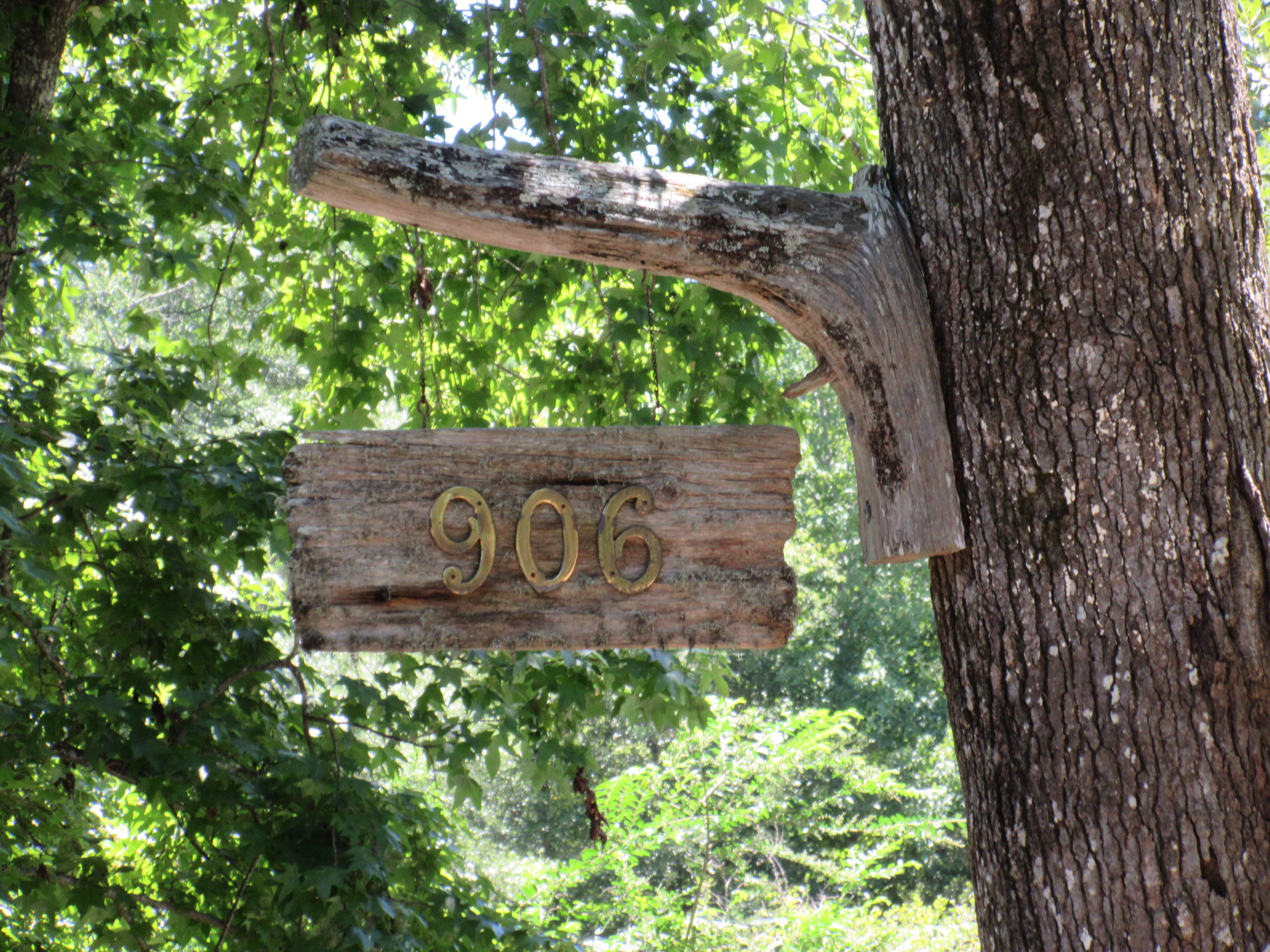 906 Kit Hall Road McClellanville, SC 29458 - Photo 45 of 46 IMG_0725