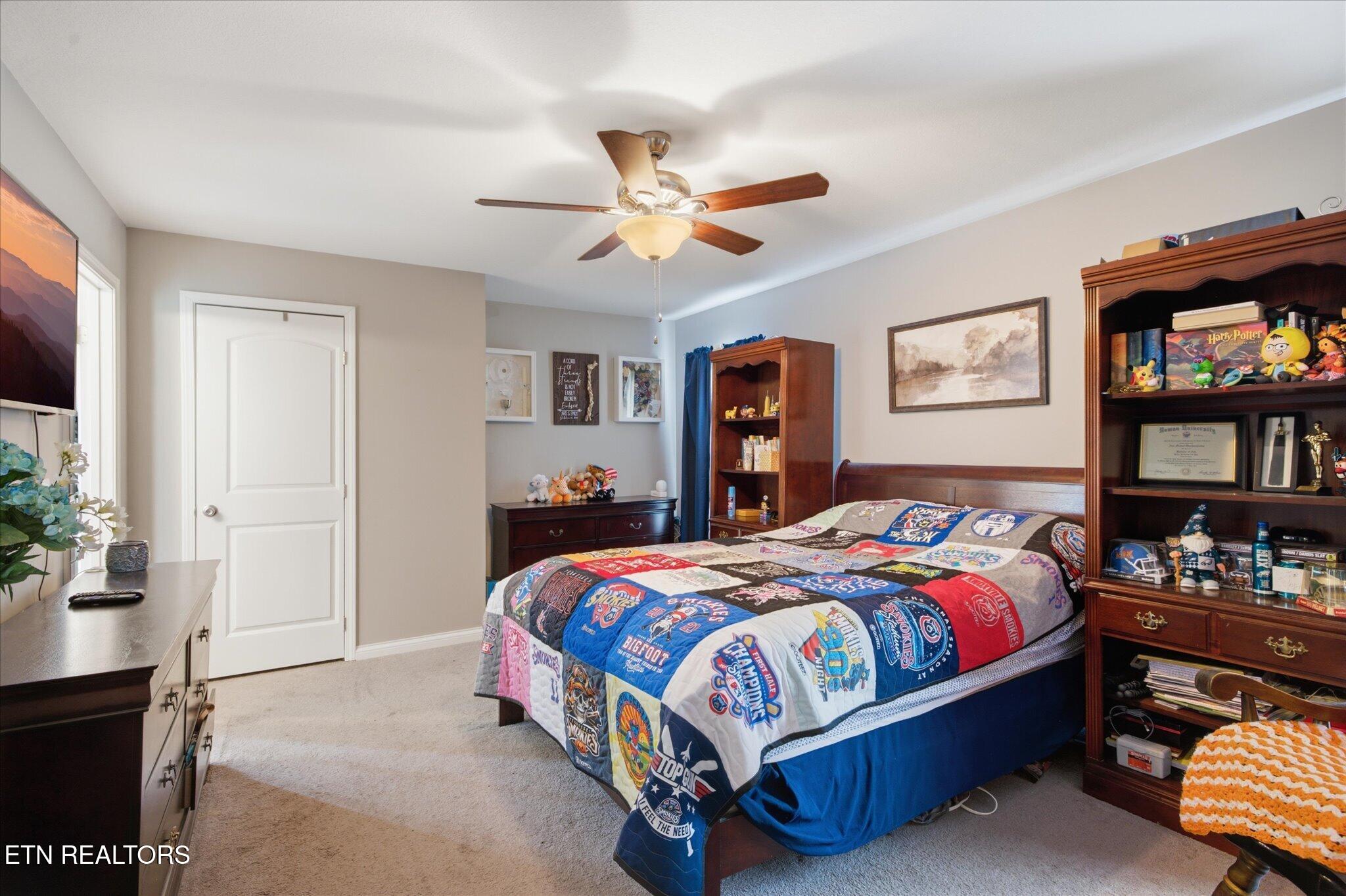 2718 Chukar Road Knoxville, TN 37923 - Photo 10 of 39 Main level Master BR