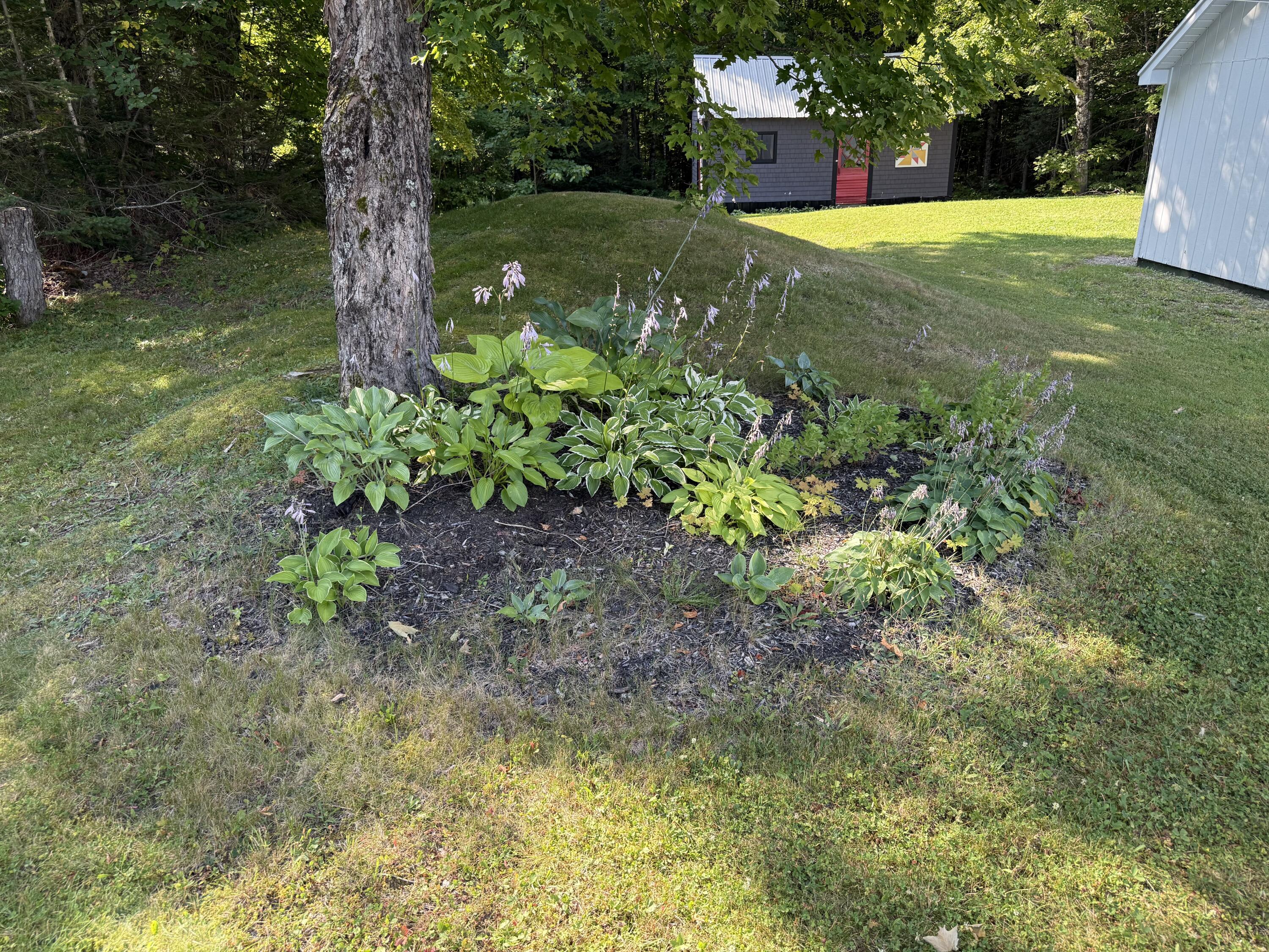 118 Route 212 Road Merrill, ME 04780 - Photo 16 of 35 IMG_7841