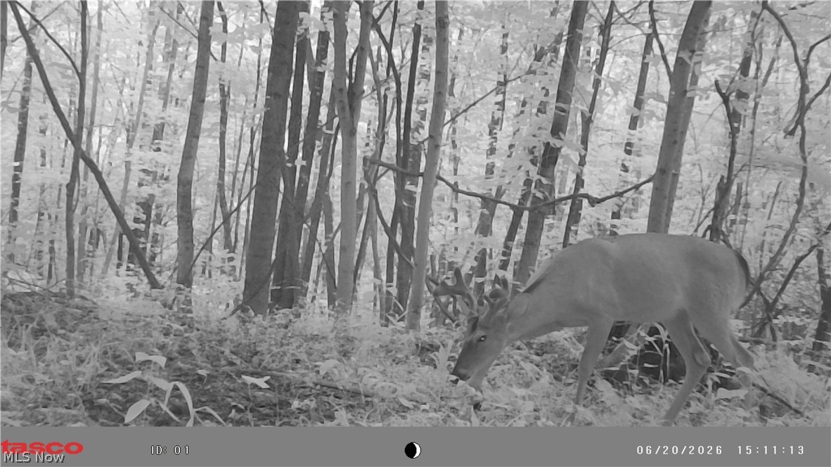 22 County Rt Street St. Marys, WV 26170 - Photo 28 of 28