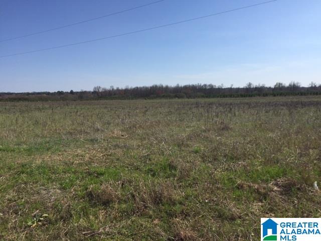 1142 County Road 53, Unit 1 Clanton, AL 35045 - Photo 2 of 3