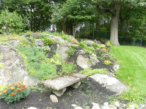 12 Powder House Rd Extension Medford, MA 02155 - Photo 6 of 20