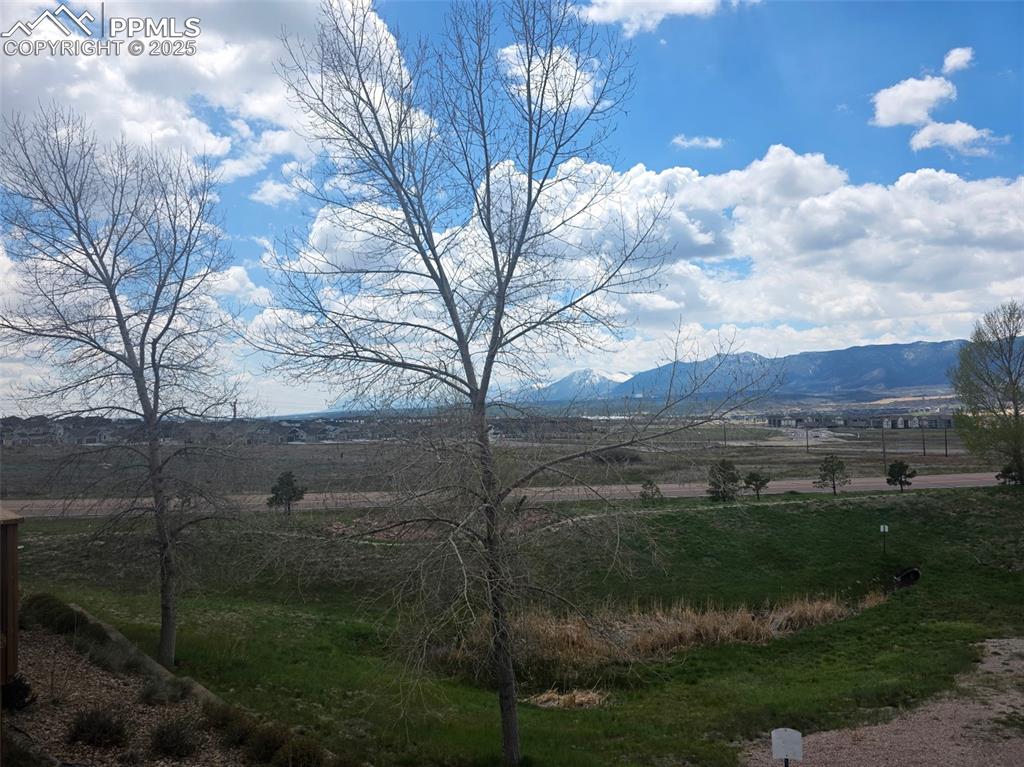 997 Burning Bush Point Monument, CO 80132 - Photo 33 of 34 a view of a yard in front of a house