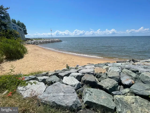 a view of a lake in middle of the forest