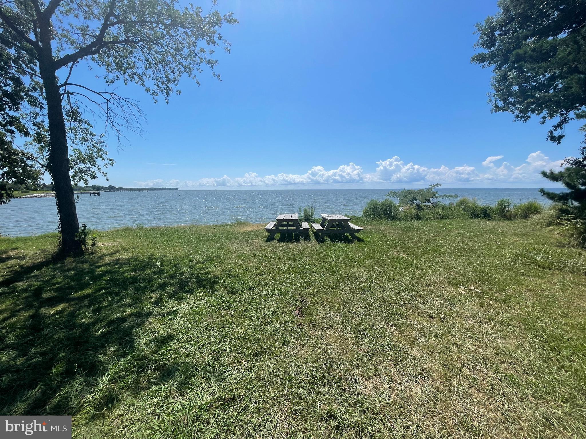 224 Wicomico Road Stevensville, MD 21666 - Photo 23 of 24 a view of a lake in middle of the forest