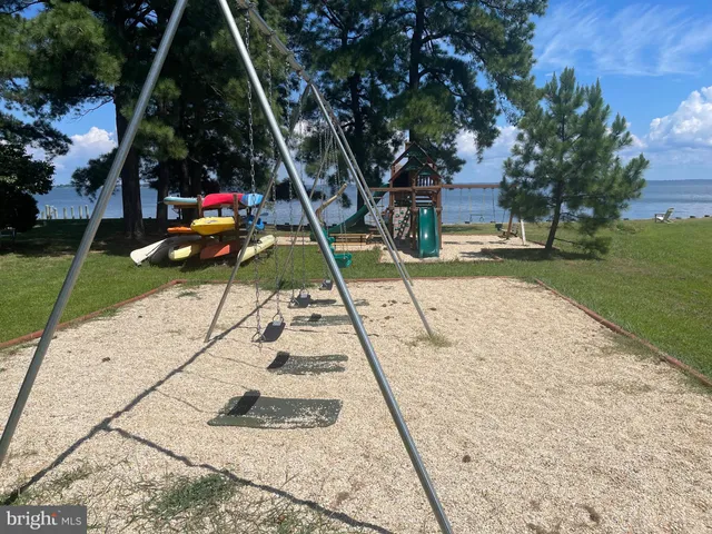 a view of a park with large trees