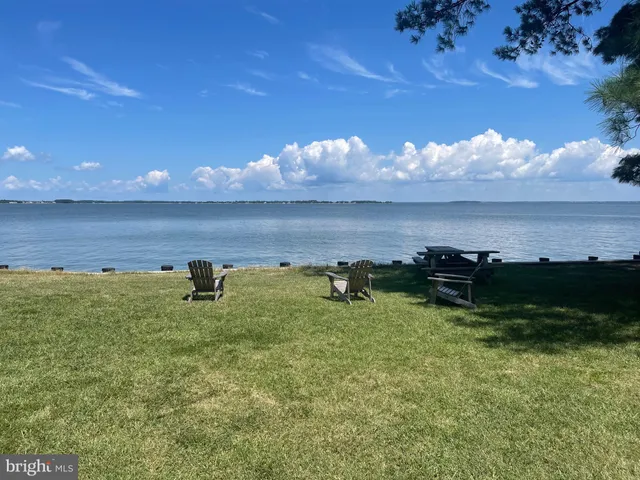 a view of a lake from a yard
