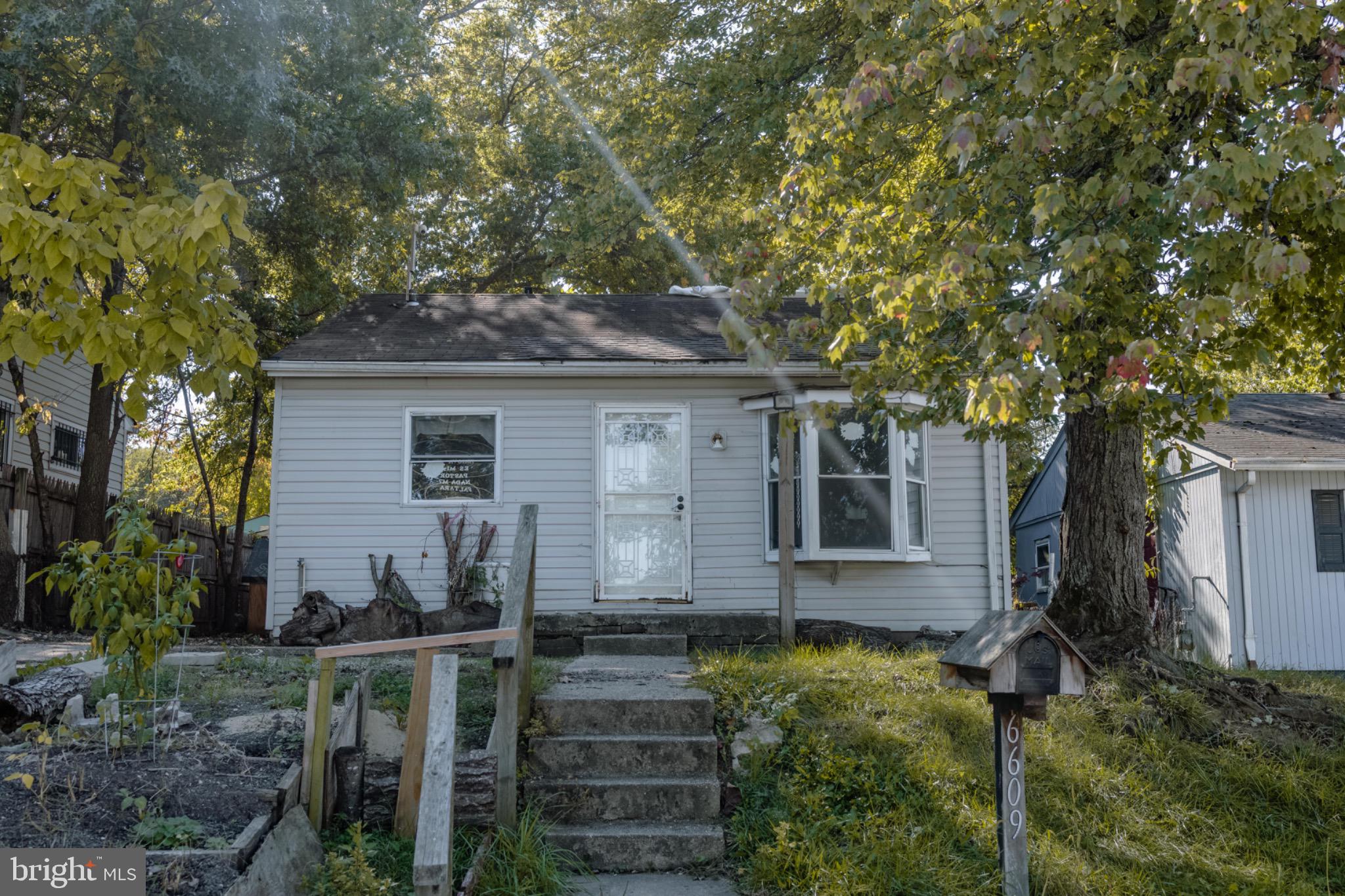 a backyard of a house with plants and tree