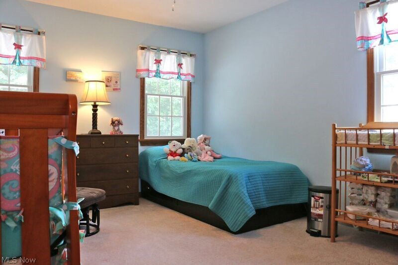 5225 Heyl Road Wooster, OH 44691 - Photo 21 of 34 Gallery Image 21