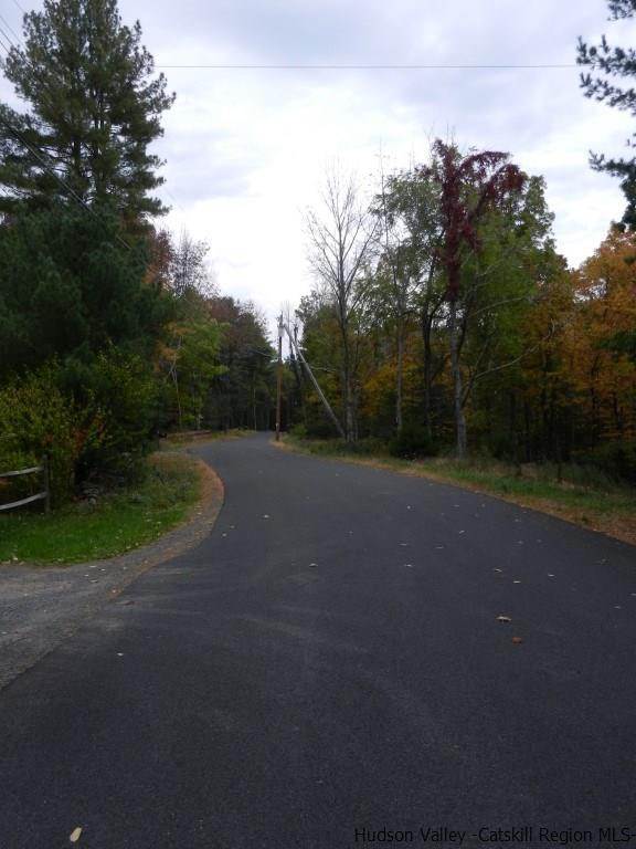 92 Grassy Ridge Road Olivebridge, NY 12461 - Photo 22 of 24 Photo 22