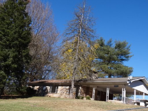 1229 Bales Road New Market, TN 37820 - Photo 1 of 1 Primary Photo