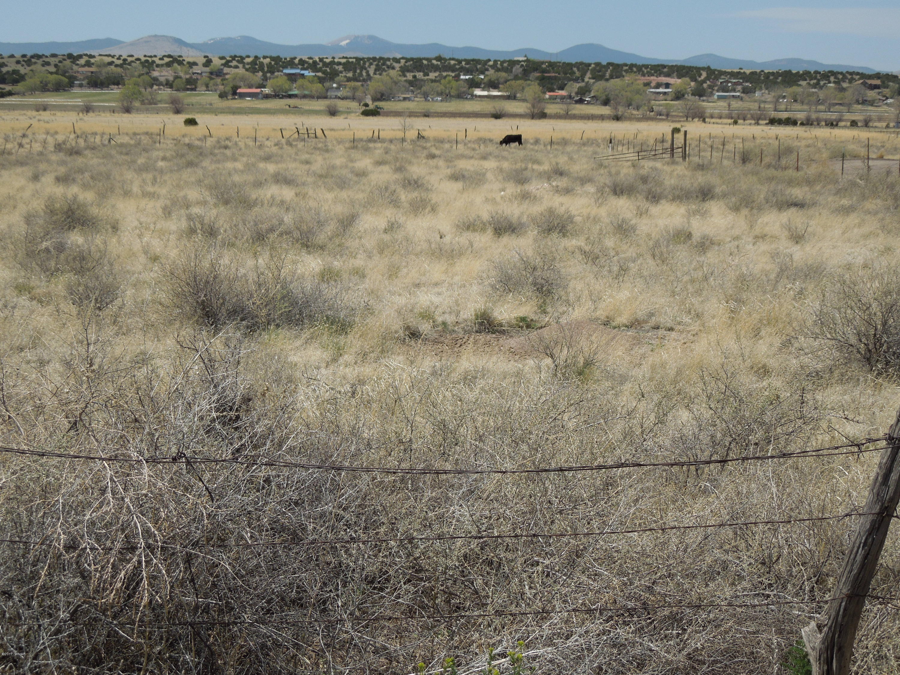 Tbd Chiricahua Street Springerville, AZ 85938 - Photo 2 of 4