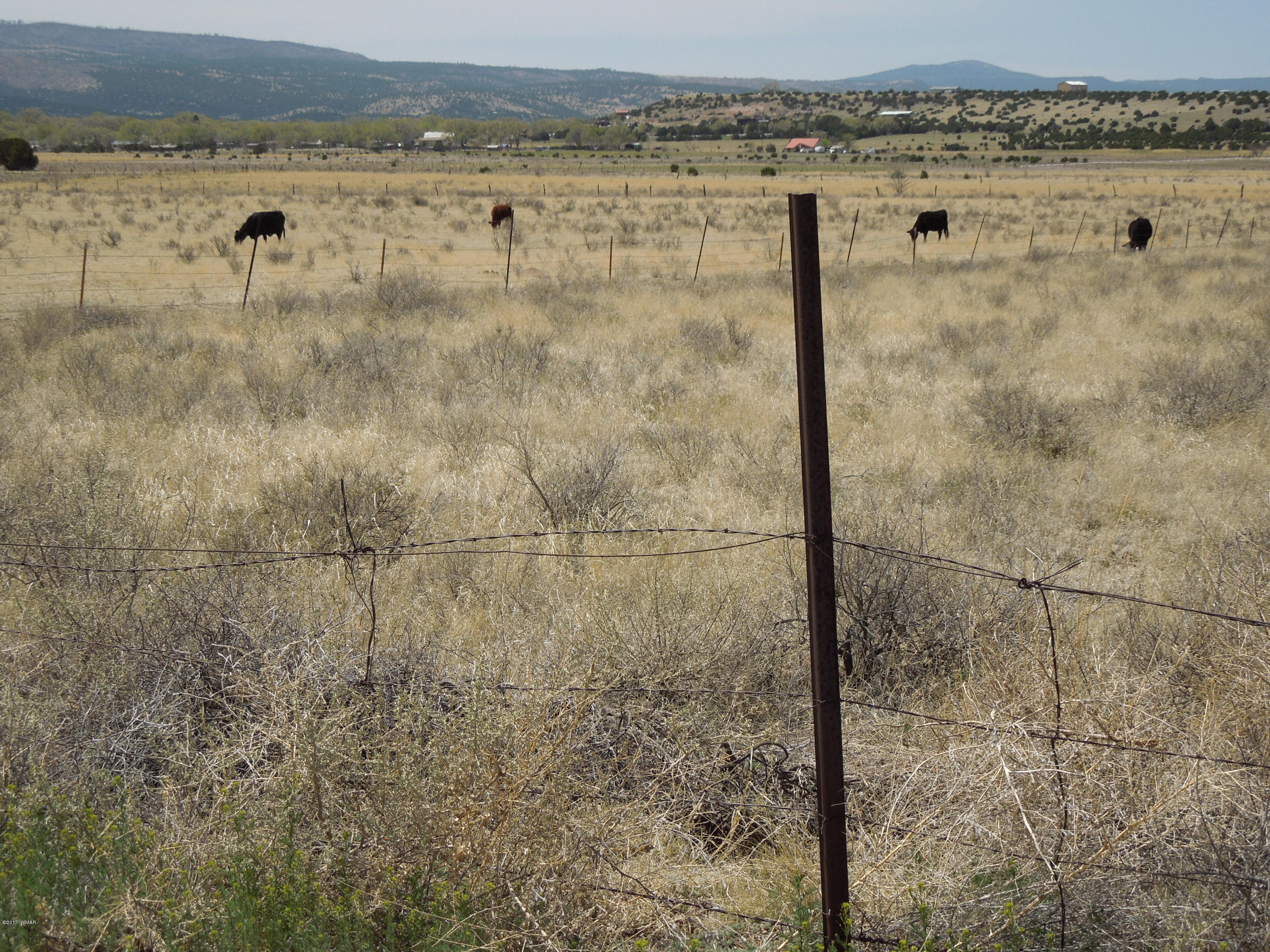 Tbd Chiricahua Street Springerville, AZ 85938 - Photo 3 of 4