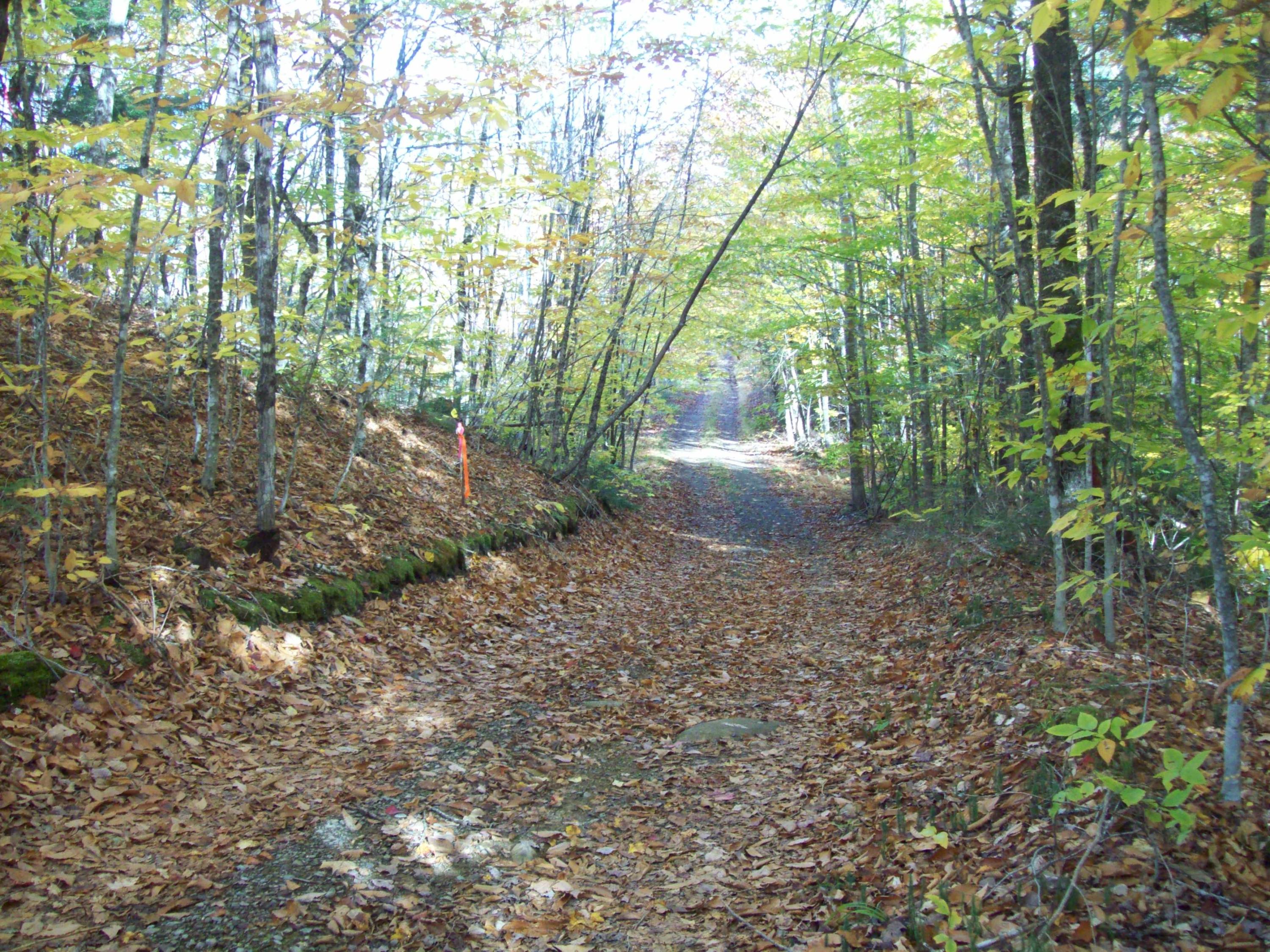 156 Hale Farm Road Lee, ME 04455 - Photo 15 of 16 100_1413