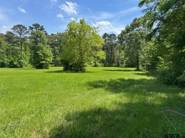 a view of a grassy field with trees