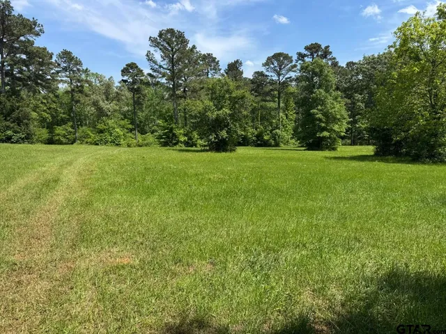 a view of a field of grass and trees